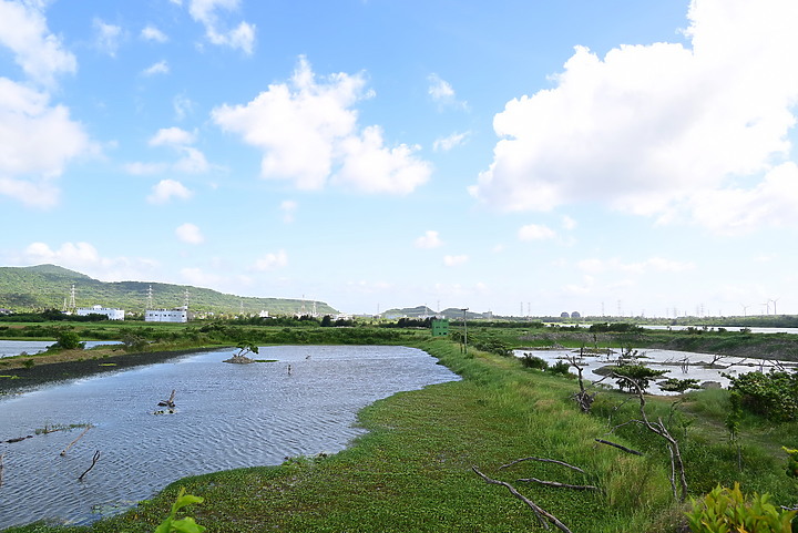 Nikon Z5的4K記錄上千隻黃頭鷺，落腳龍鑾潭鳥族8號太空站復育中的濕地。