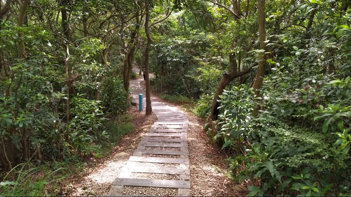 [樂山童盟] [桃園市桃園區] 桃園虎頭山步道(三分山-五分山-停機坪-虎頭山-虎頭山環保公園)