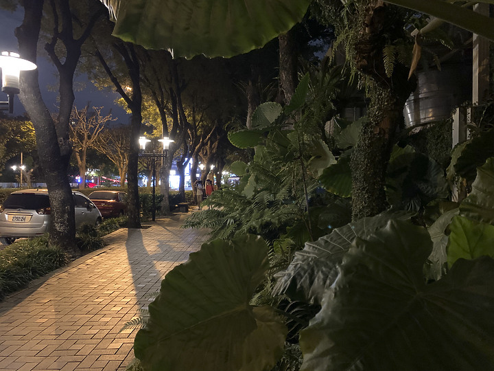 iPhone 12 Pro 夜拍對比 Nikon D850 夜拍直出
