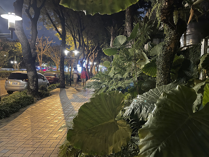iPhone 12 Pro 夜拍對比 Nikon D850 夜拍直出