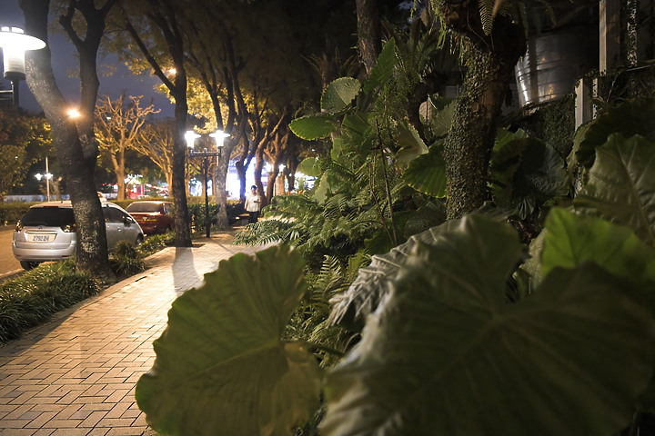 iPhone 12 Pro 夜拍對比 Nikon D850 夜拍直出