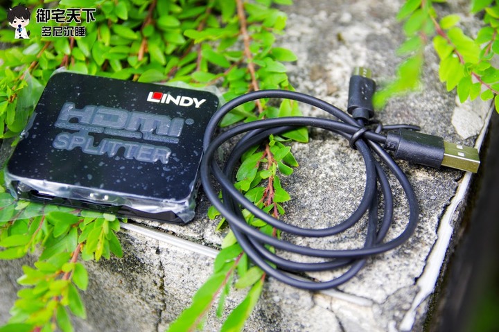 開箱文|【LINDY】迷你型 HDMI 1.4 10.2G 一進二出分配器-輕鬆同步輸出 2 組 HDMI 影像