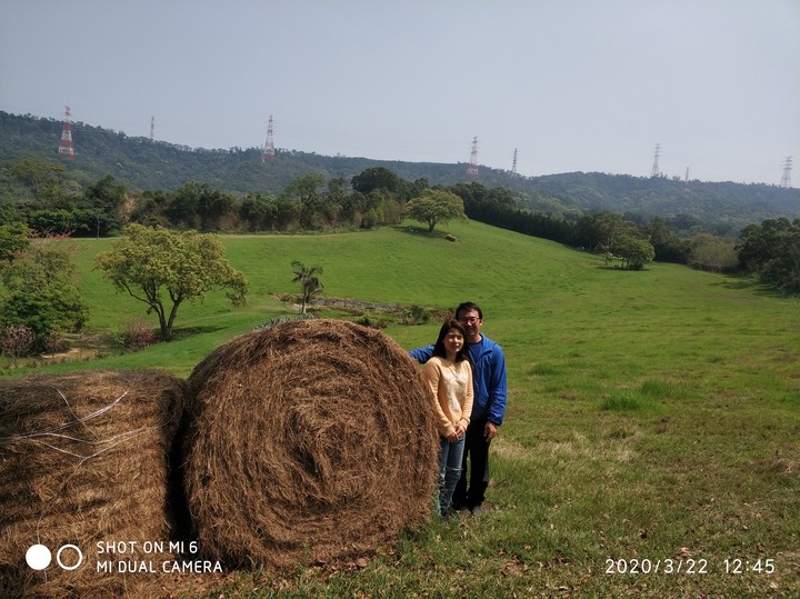 2020經典不落,苗栗113,阿虎尋親記,