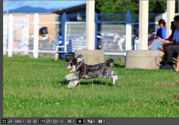 (映像分享) 全面攻佔！ Canon EOS R5含8K影片實測