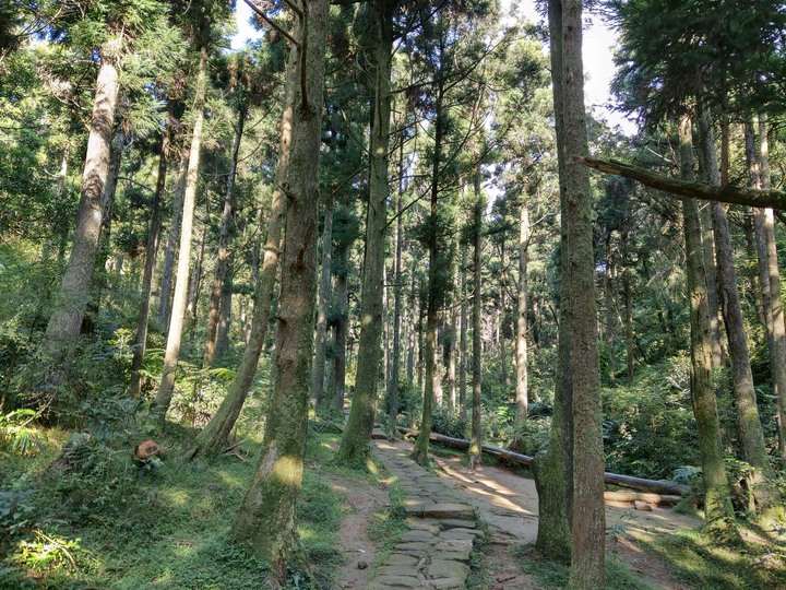 點我看大圖 陽明山之旅~HTC U12+