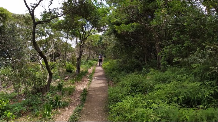 [樂山童盟] [桃園市桃園區] 桃園虎頭山步道(三分山-五分山-停機坪-虎頭山-虎頭山環保公園)