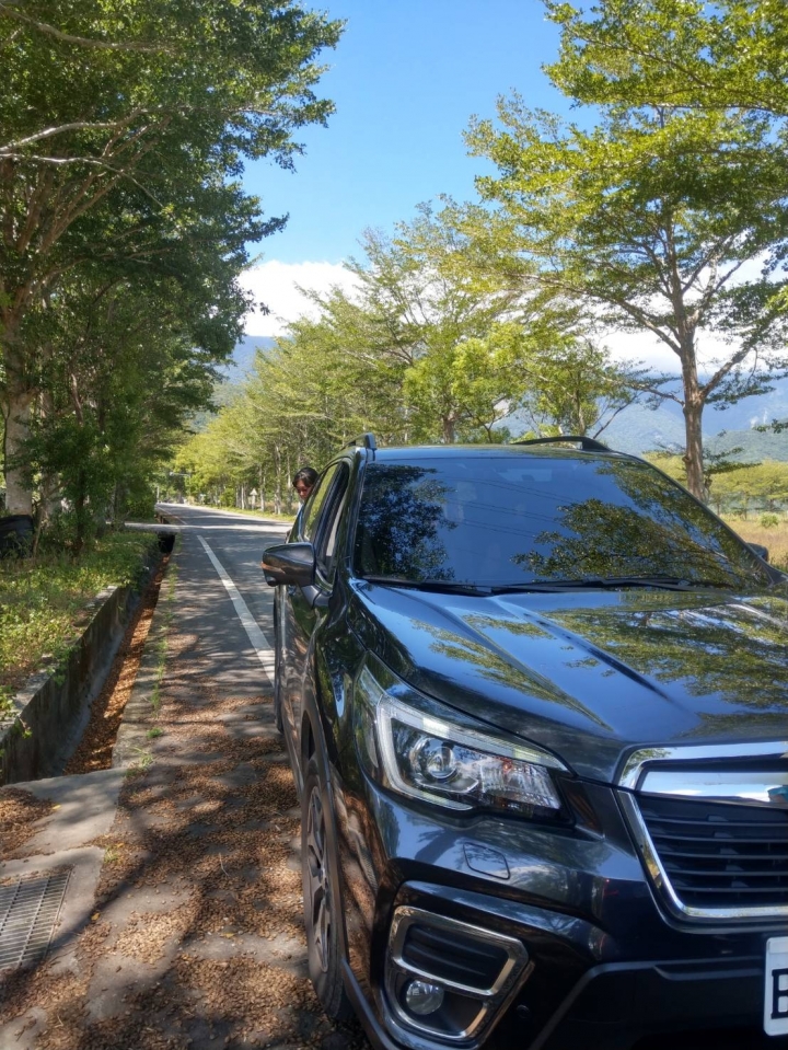 瑞典國寶與日本subaru