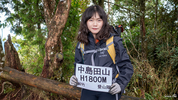 高島縱走|五星級森林療癒步道|一日縱走|完全攻略