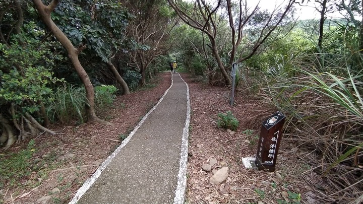 [樂山童盟] [桃園市桃園區] 桃園虎頭山步道(三分山-五分山-停機坪-虎頭山-虎頭山環保公園)