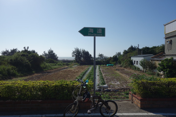 2020經典不落,苗栗113,阿虎尋親記,