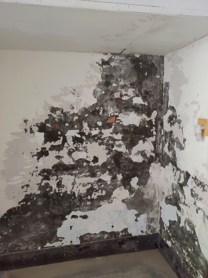 【開箱】低預算老屋翻新北歐IKEA無印風 一個人重生的新契機