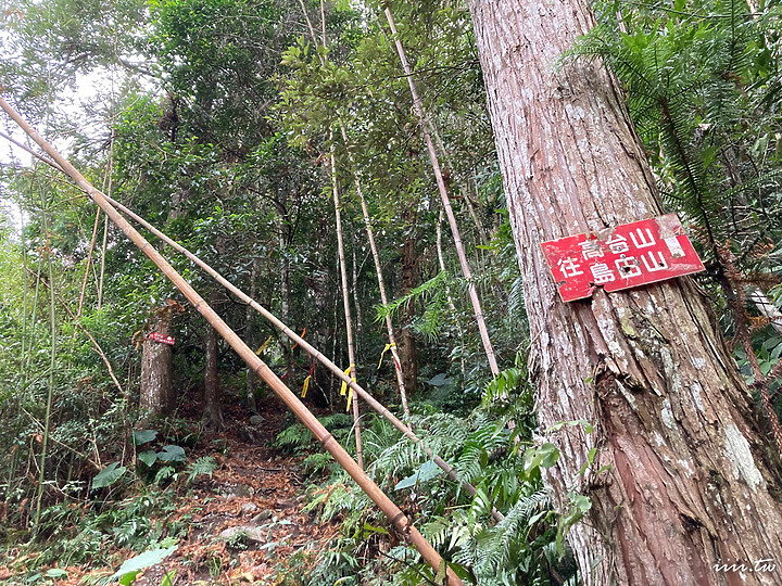 高島縱走|五星級森林療癒步道|一日縱走|完全攻略