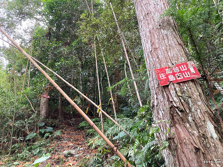 高島縱走｜五星級森林療癒步道｜一日縱走｜完全攻略