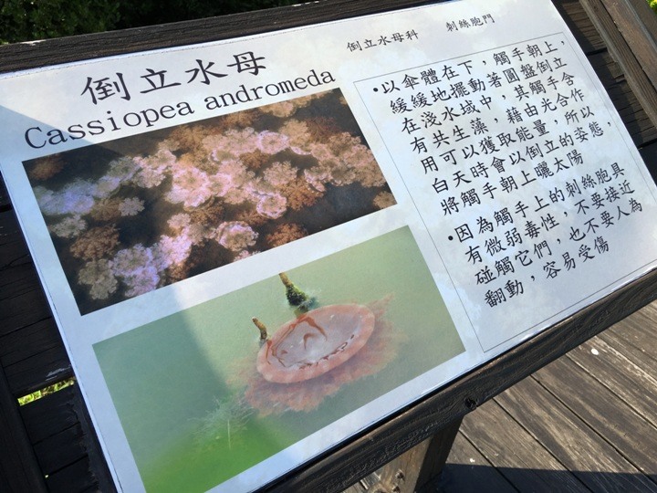 騎向市境之南-林園單車遊(高雄最終回)