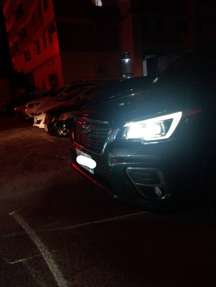 瑞典國寶與日本subaru
