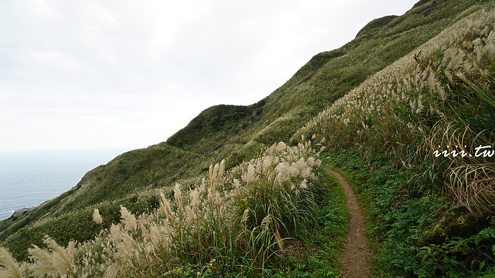 鴿子岩・芒花秘境