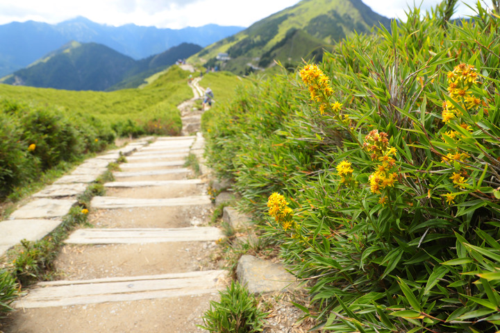 高山268|花蓮|石門山3237|1小時往返親民百岳|秀林鄉