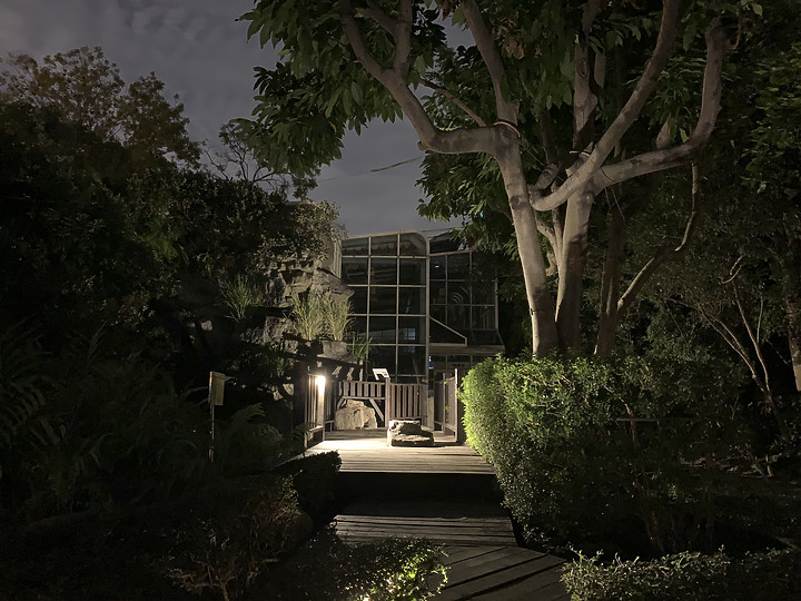 iPhone 12 Pro 夜拍對比 Nikon D850 夜拍直出