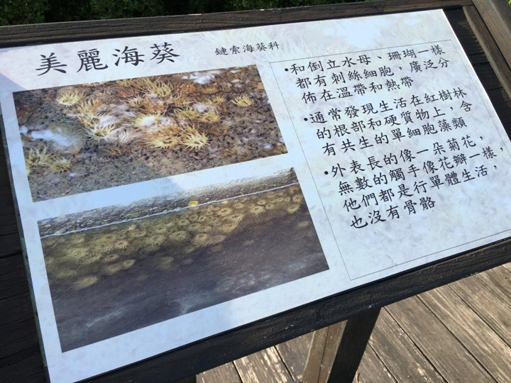 騎向市境之南-林園單車遊(高雄最終回)