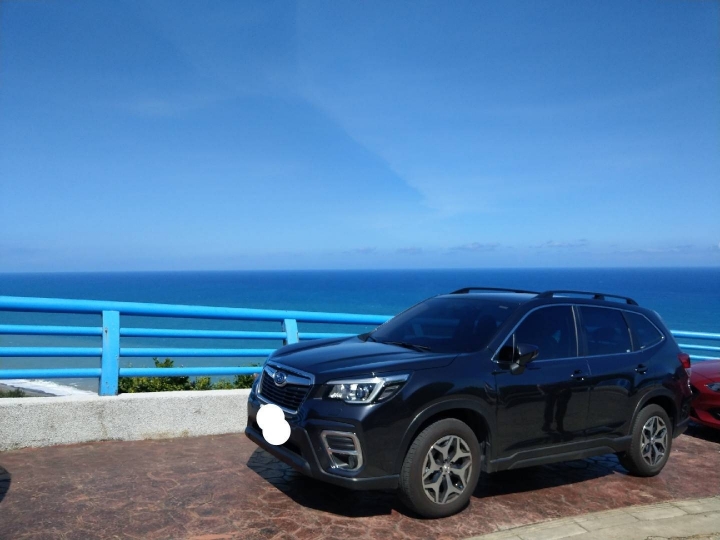 瑞典國寶與日本subaru
