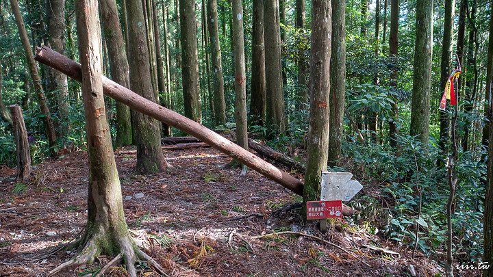 高島縱走|五星級森林療癒步道|一日縱走|完全攻略