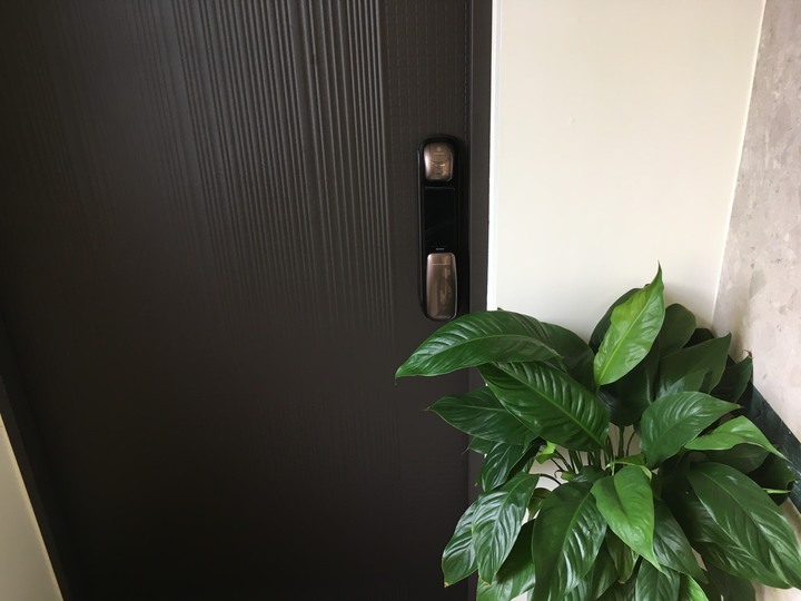 【開箱】2020 我在台南,天氣晴~