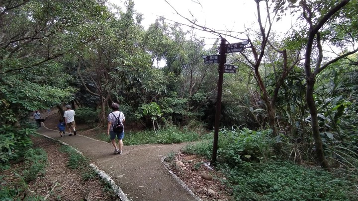 [樂山童盟] [桃園市桃園區] 桃園虎頭山步道(三分山-五分山-停機坪-虎頭山-虎頭山環保公園)