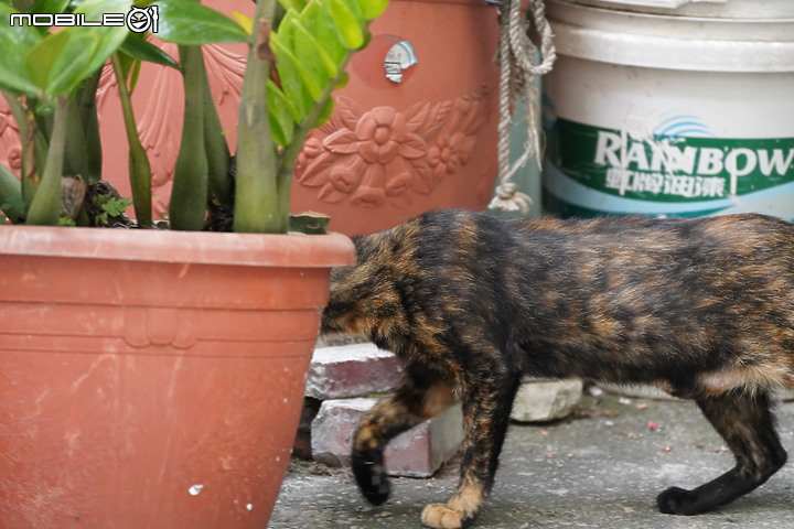 Tamron 70-300mm f/4.5-6.3 DiIII RXD (A047)最親民的望遠鏡頭