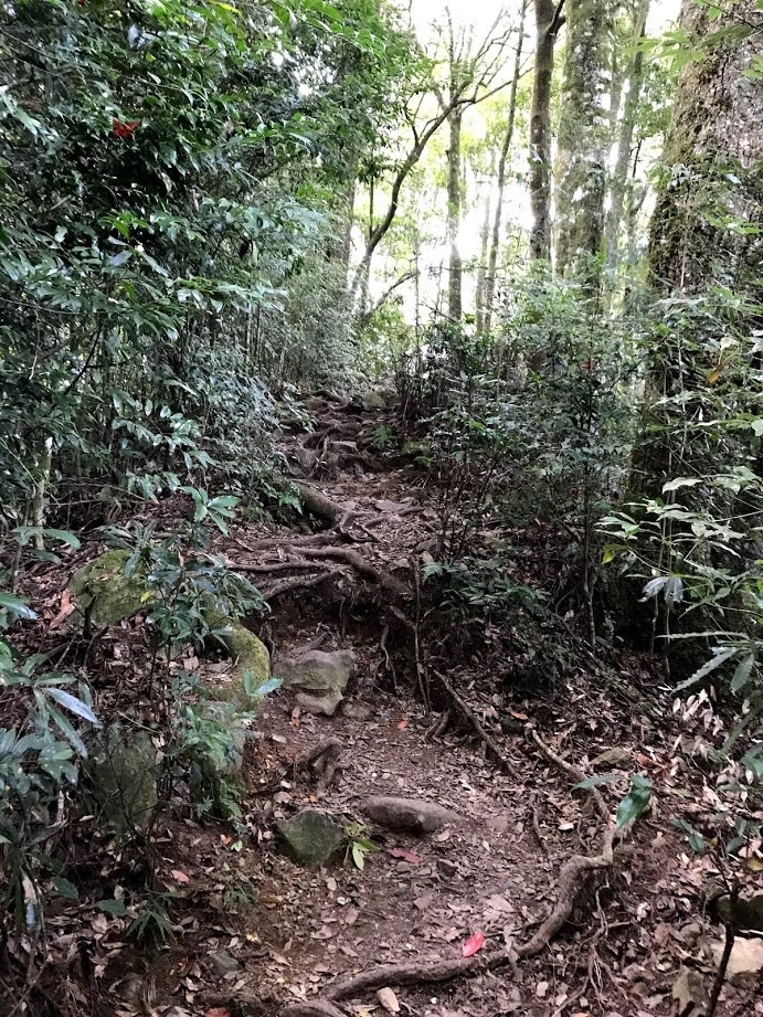 逆走谷關七雄之屋東縱走