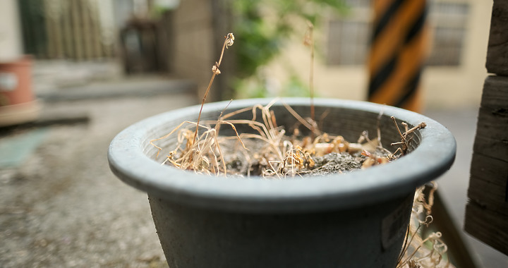 XT3 + XF 16mm F1.4 錄影直出測試