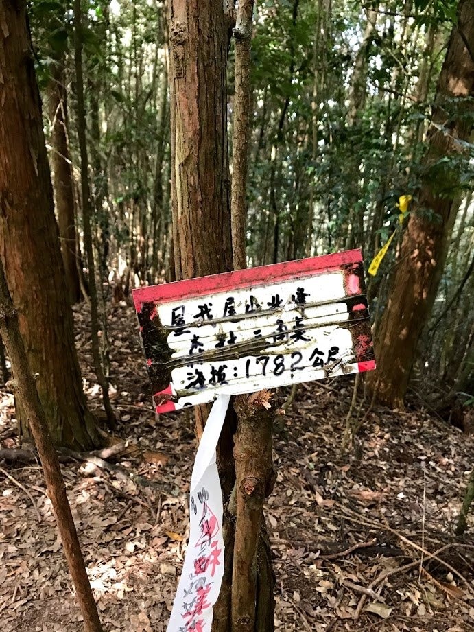 逆走谷關七雄之屋東縱走