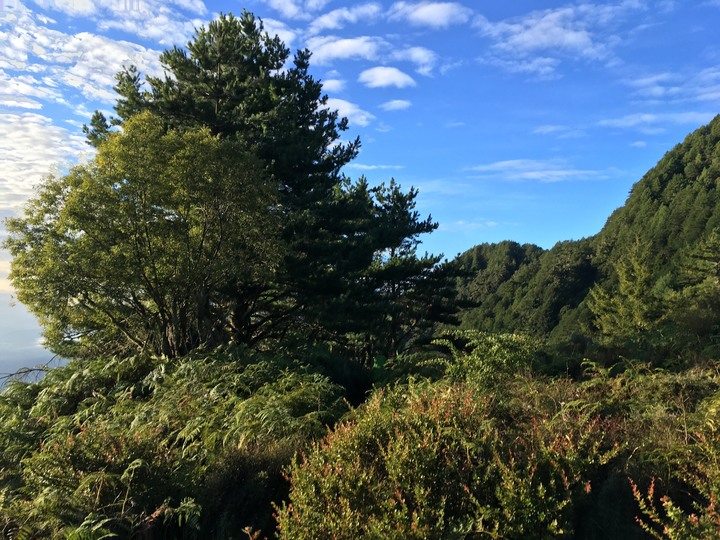 【日治八通關古道越嶺】| 介於傳統與現代之間的歷史經緯、消逝中的華巴諾駐在所—標題出自《MIT台灣誌》