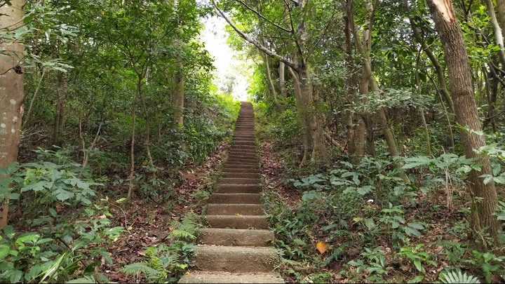 [樂山童盟] [桃園市桃園區] 桃園虎頭山步道(三分山-五分山-停機坪-虎頭山-虎頭山環保公園)