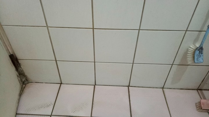 浴室漏水+廚房天花板估價單