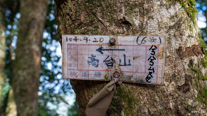 高島縱走｜五星級森林療癒步道｜一日縱走｜完全攻略