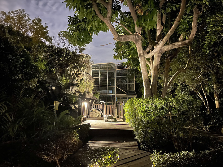 iPhone 12 Pro 夜拍對比 Nikon D850 夜拍直出