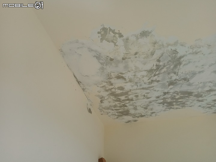(分享) 透天老屋之天花板壁癌處理....