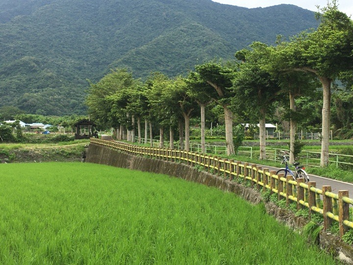 台 東 關 山 騎 遊 小 旅 行