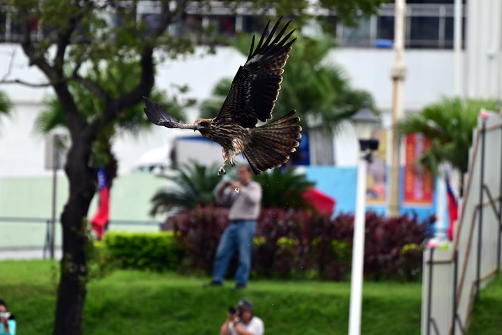 雙十國慶_基隆港黑鳶戰士_II_(黑鳶國旗郵輪同框)_2020-10-09