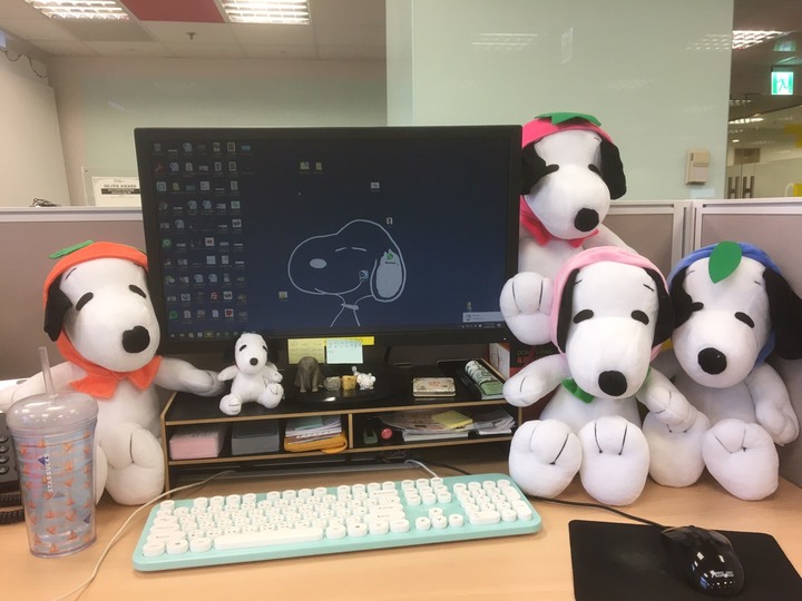 SNOOPY控來曬收藏