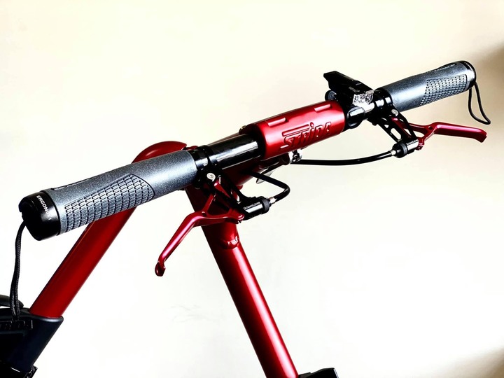 Strida EVO 最省錢的小改裝減重