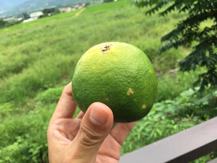 台 東 關 山 騎 遊 小 旅 行