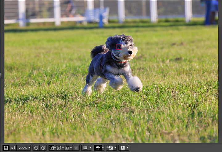 (映像分享) 全面攻佔！ Canon EOS R5含8K影片實測