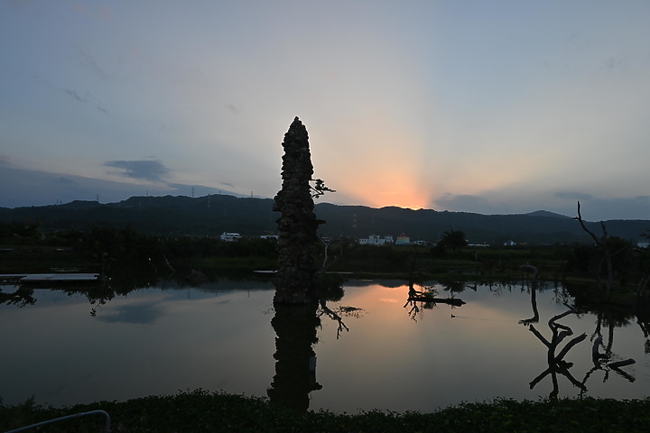點我看大圖 D6+556PF東方澤鵟(龍鑾潭鳥族8號太空站)