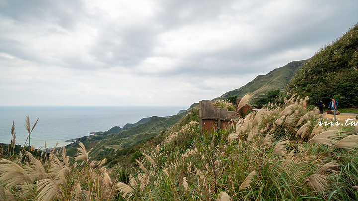 鴿子岩・芒花秘境