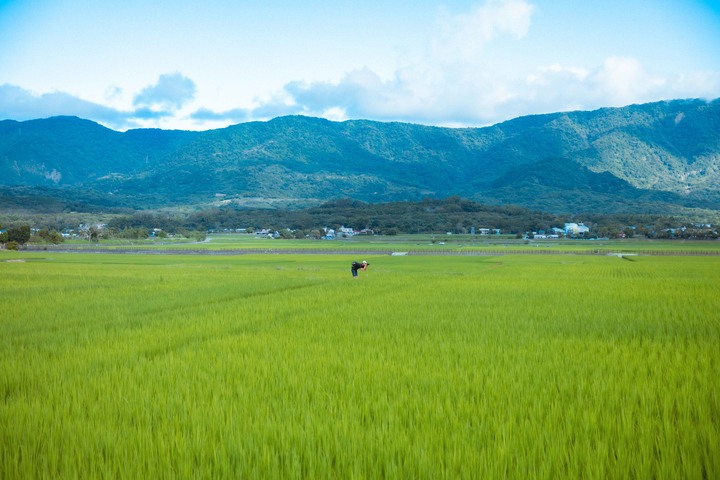 告別夏天-花東映像之旅