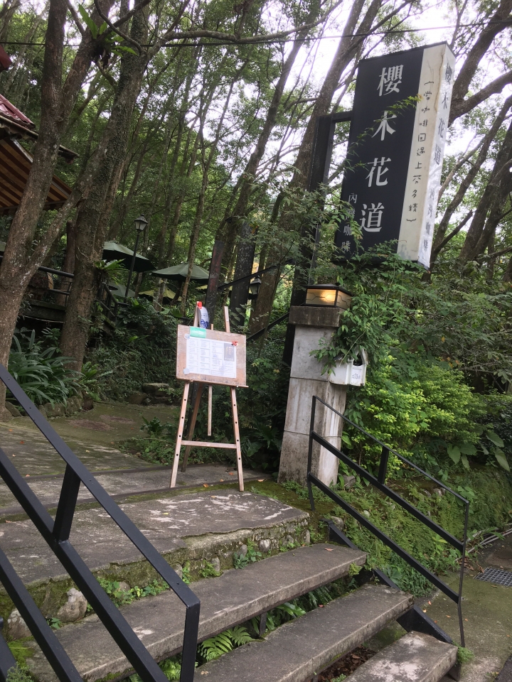 20吋大電池電動小折內灣半日遊