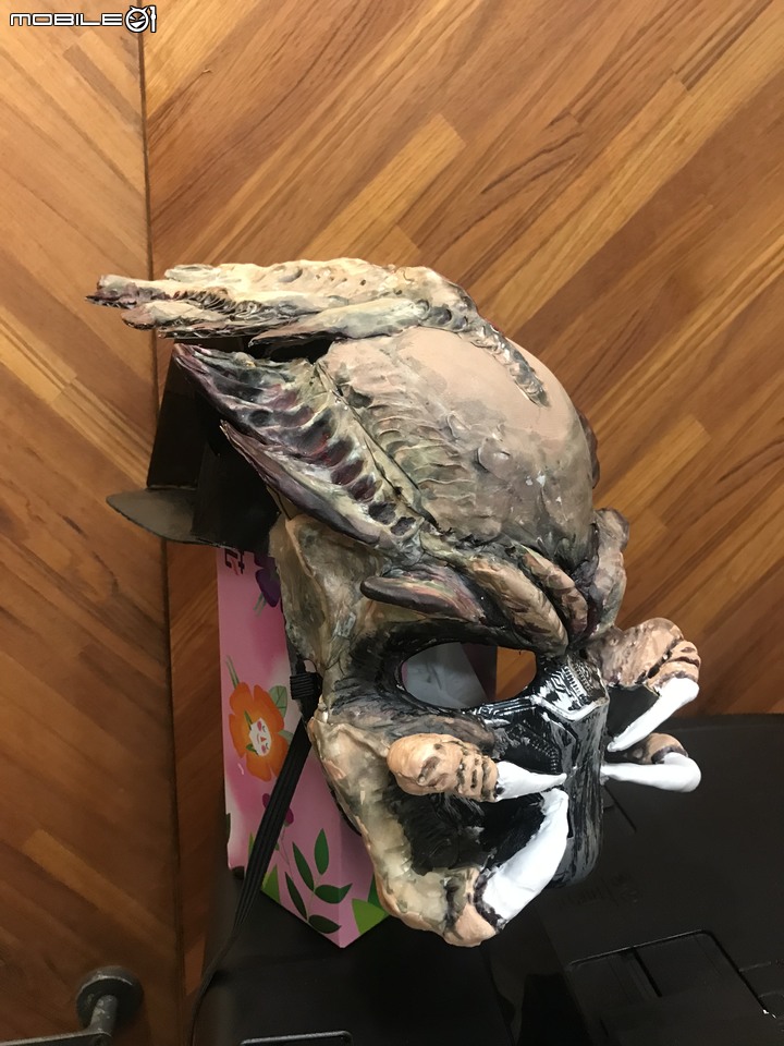 [DIY][萬聖節][面具]臨時趕製手做萬聖節面具"終極戰士及異形" (圖多文少)