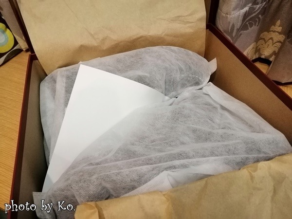 [開箱]NORTHWEST踢毛驢 TM-5602S 經典Moc toe靴