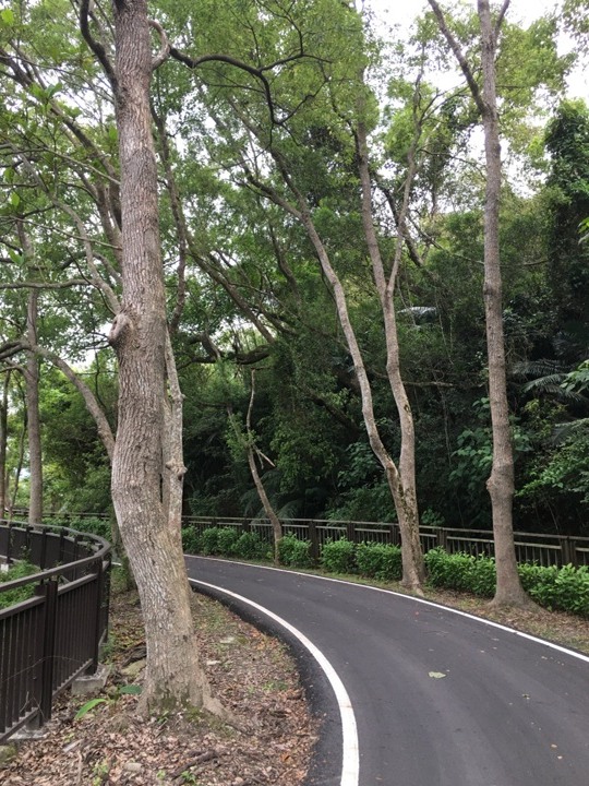 台 東 關 山 騎 遊 小 旅 行